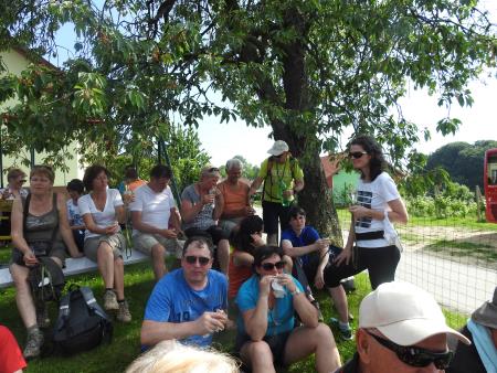 12. pohod Pomlad v prleških goricah Dan odprtih kleti in veselih ljudi, 28.5.2016 111